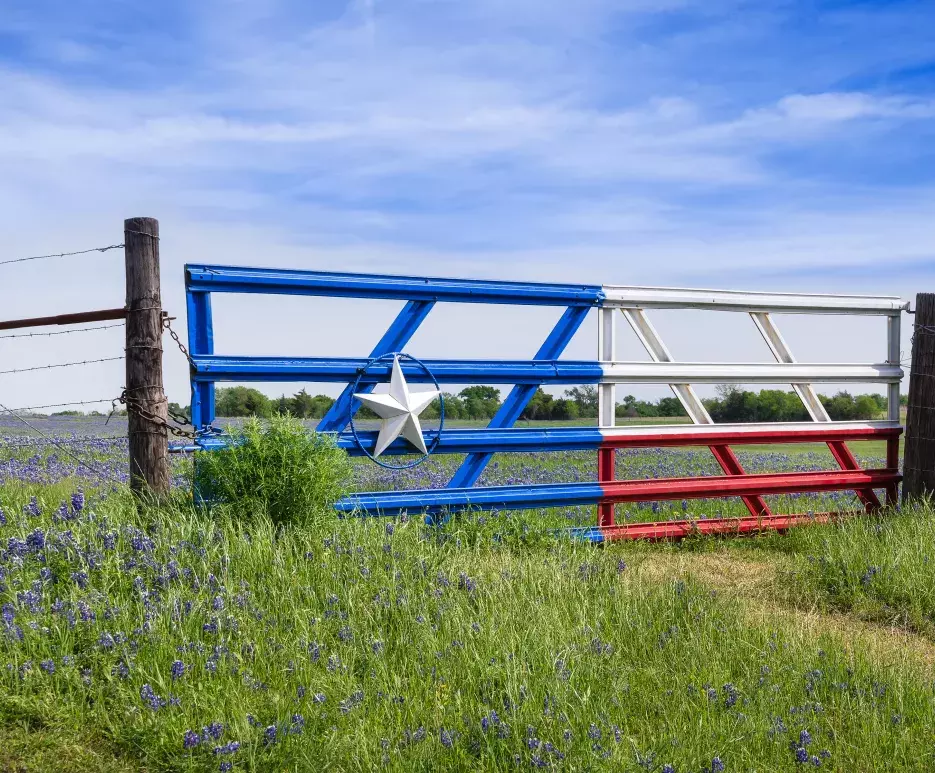 Cattle Gate - Texas